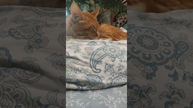 1000238749.mp4