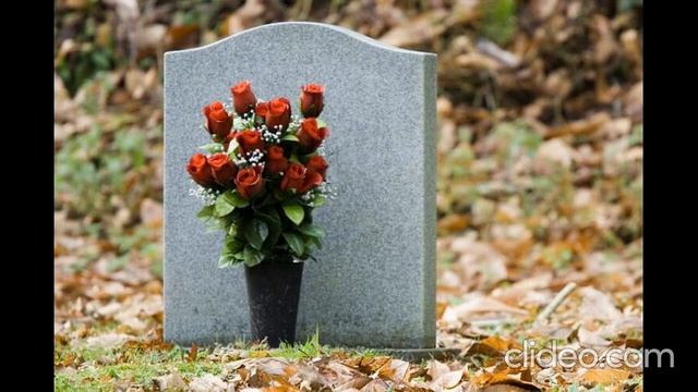 Ремонт и реставрация памятников в Беларуси. Поиск могил, уборка и уход. Восстановление надписи даты