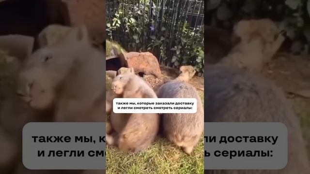Желаем всем таких же хороших выходных 😁💛