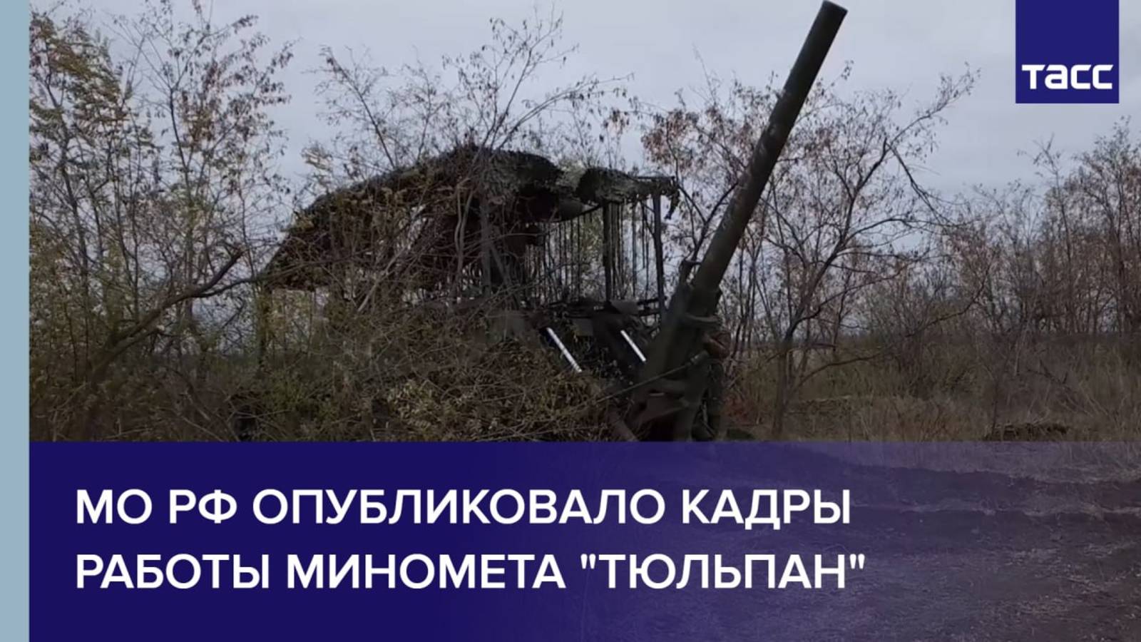 МО РФ опубликовало кадры работы миномета "Тюльпан"