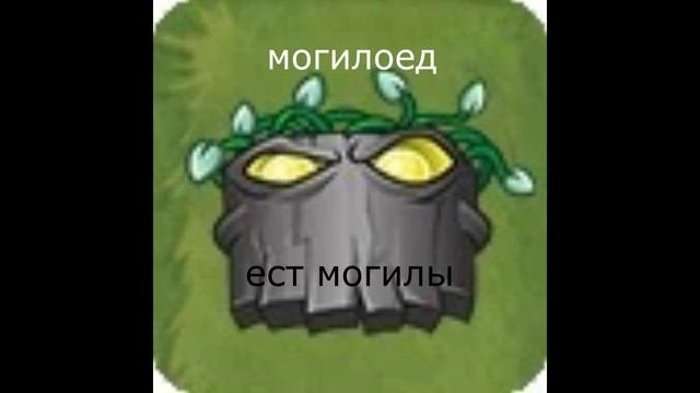 пвз