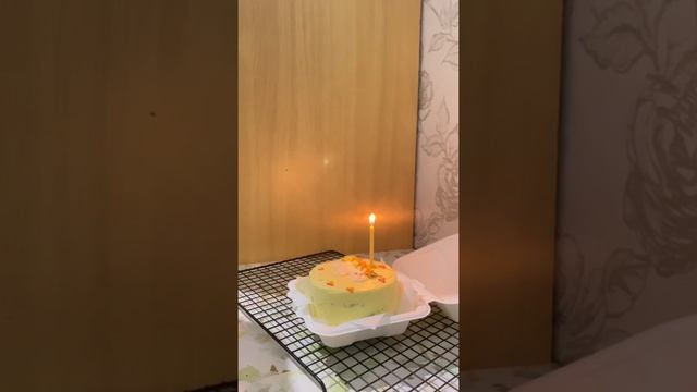 Бенто инструкция к применению ✨