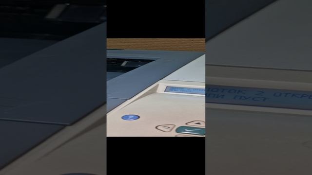 hp p3005 треск