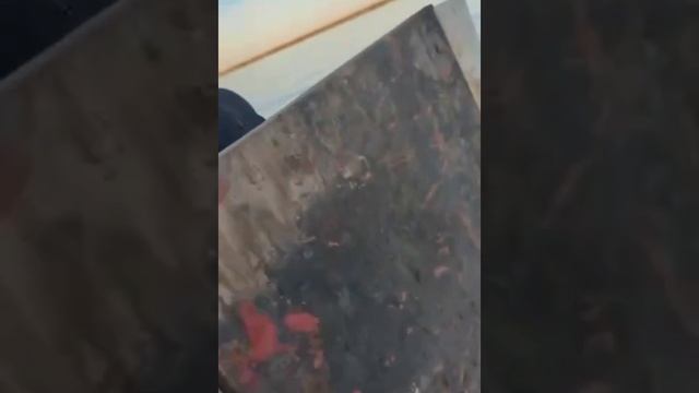 Разбил лодочный мотор в дребезги!