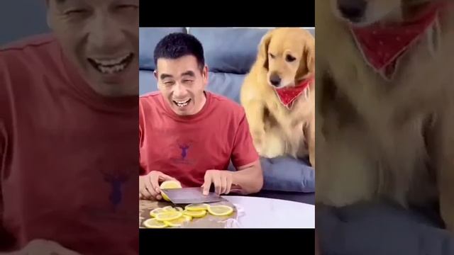 limonom