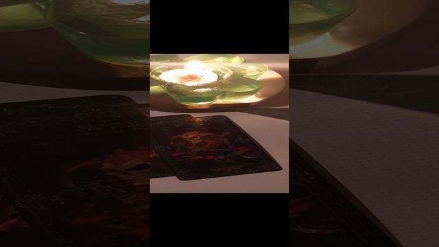 20241203_164016.mp4  Что скрыто 9а лицемерием