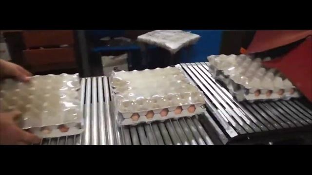 Упаковка яиц на ТМ-2А