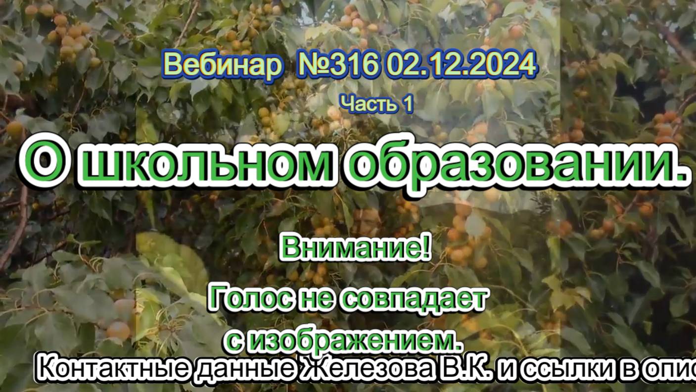 Железов Валерий. Вебинар 316. ч.1. О школьном образовании. Внимание! Голос не совпадает с изображени