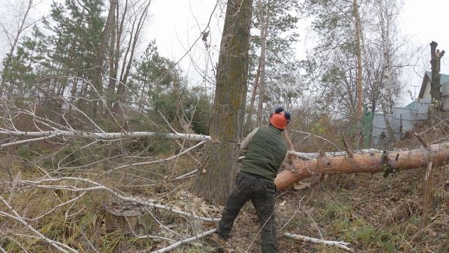Один день из жизни моей карьеры