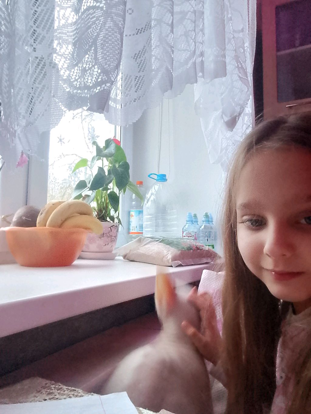 котик милый
