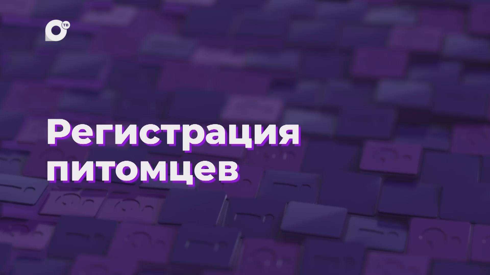 Два вопроса / Регистрация питомцев / 03.12.24