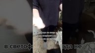 пов: майонез в светофоре