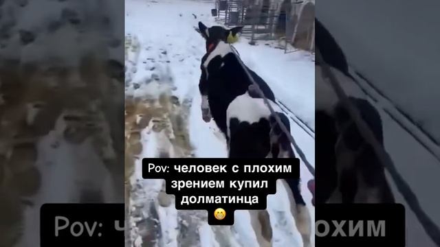 Не ну а чо круто же 😎