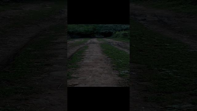 Прогулочка🫠