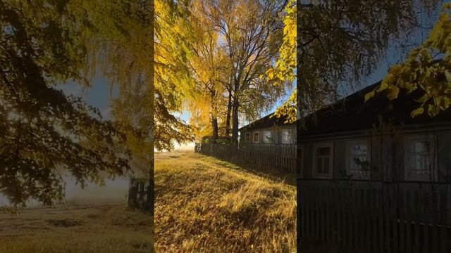 осень