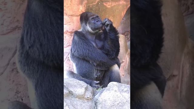 Сказала: "мать твою"! Вот это да.. ......😁😂🔥