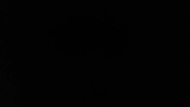 VID_20241203_175811.mp4