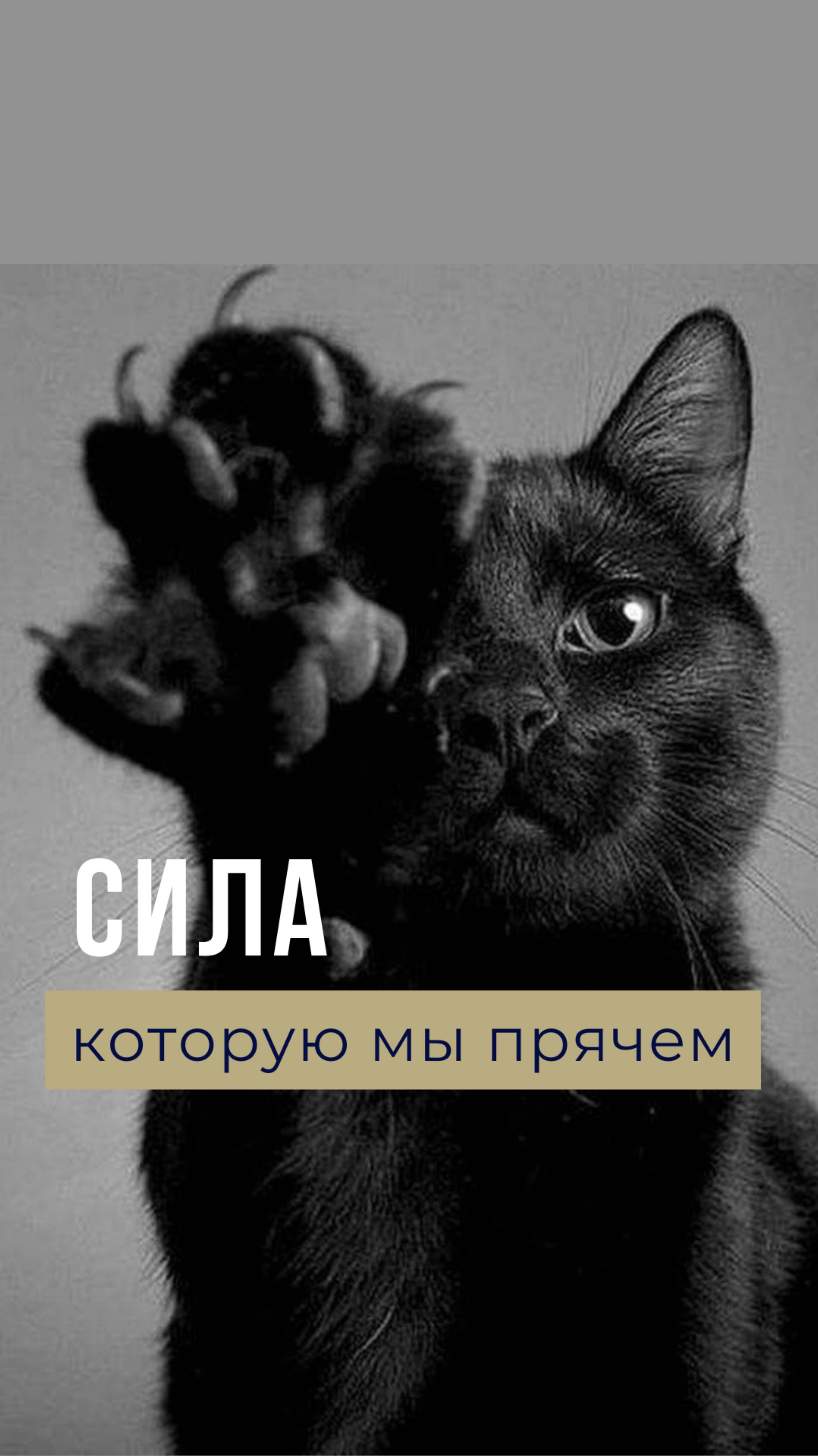 Пиши СИЛА в комментариях, чтобы получить урок о том, как наладить контакт со своей агрессией.