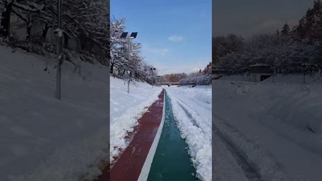 서울 폭설 후 흰눈 덮인 아침 산책길, SEOUL Snowfall Morning Walk, Nov 28,2024