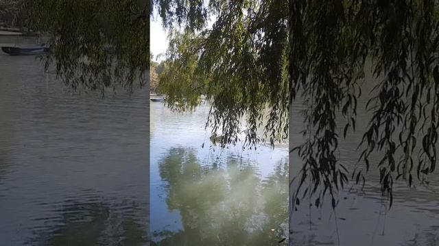 Владикавказ-Осень