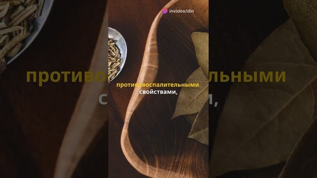 Лавровый лист польза для организма