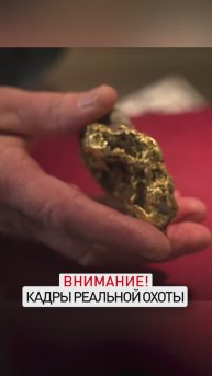 Охота в Новой Зеландии
