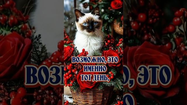 #доброеутро