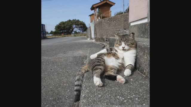 Фотографии Масаюки Оки