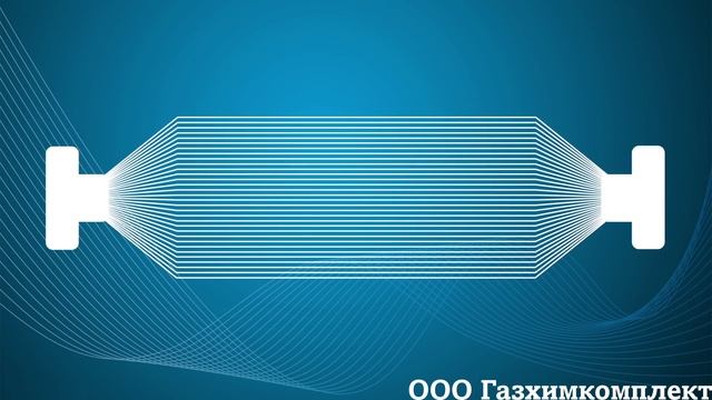 GAZHIM_FTO
