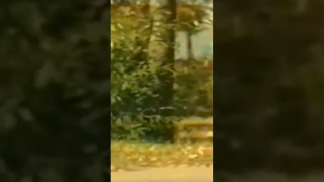 Спасибо, родная🥰