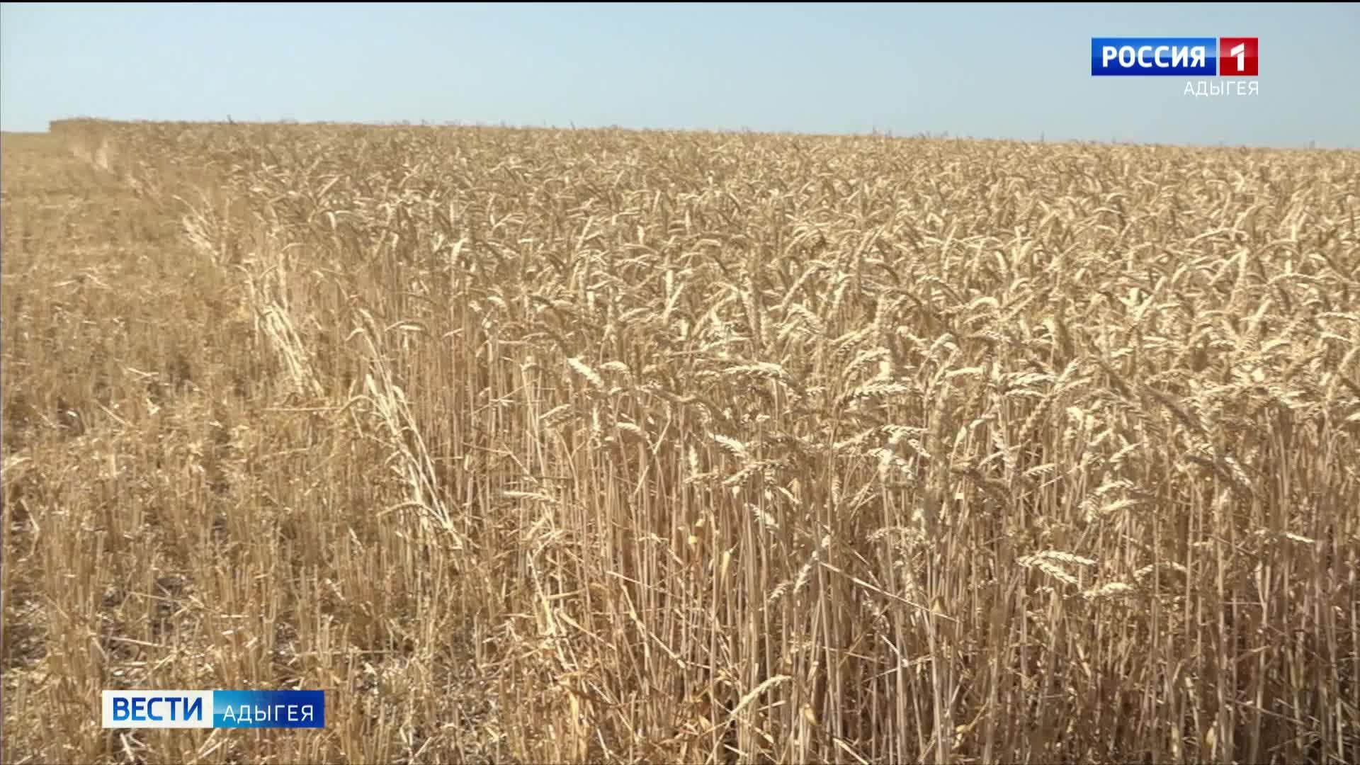 14.30- «Вести» от 03.12.2024г.