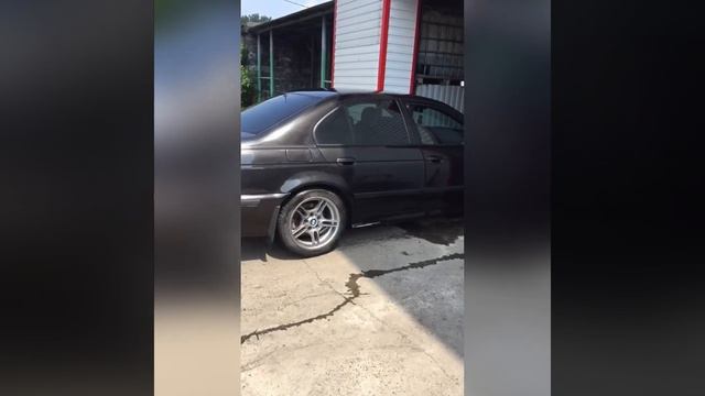 @BMW 5 Series e39 3,0/231 МКПП