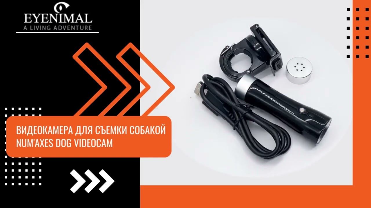 Камера для съемки собакой dog videocam