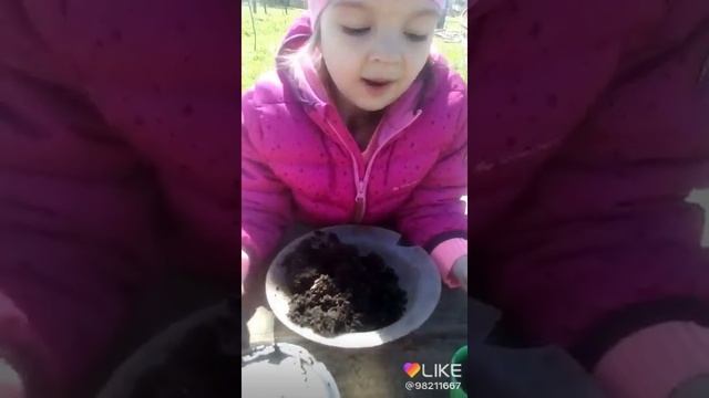 Котлеты из земли
