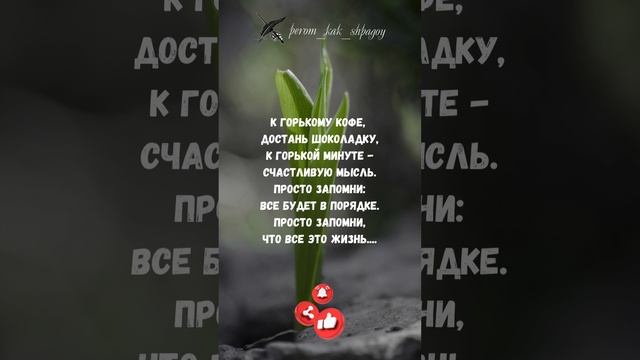 Мудрость и саморазвитие.