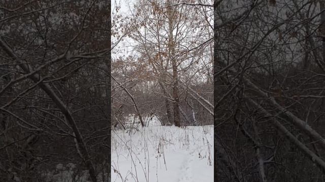 прогулка