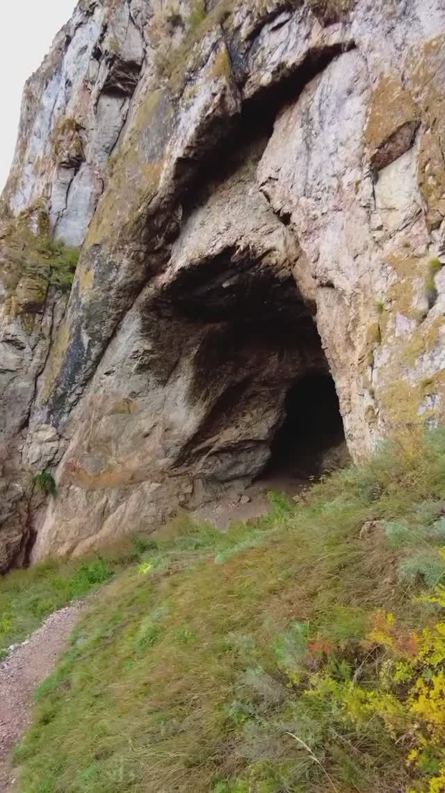 Тысячи божьих коровок в пещере
