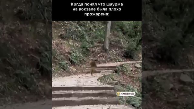 IMG_9371.MP4