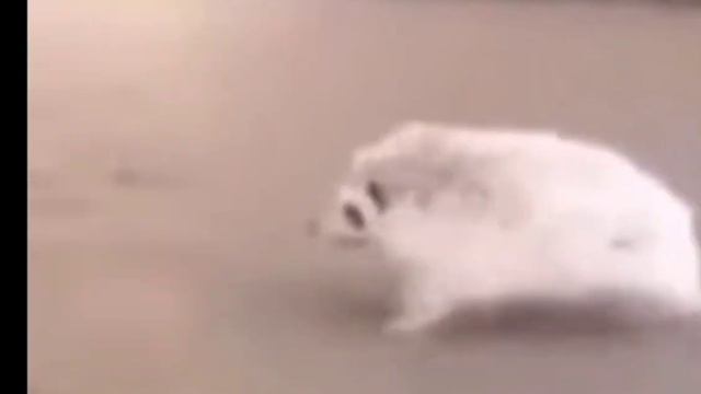 хорошо блин