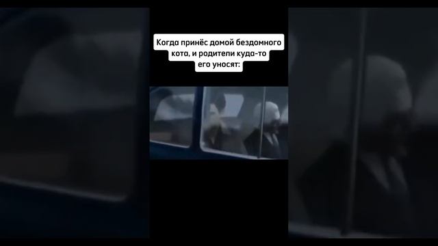 Блин #2024 #мем #toyfilms #memes #recommended #юмор #рекомендации #жиза #мемы #edit