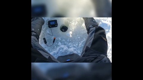 Рыбалка на безмотылку, ловля окуня. #shorts #зимняяловлярыбы #fishing #рыбалка #безмотылка #окунь