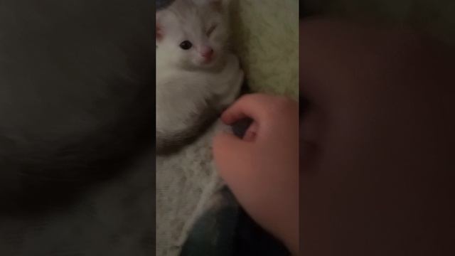 1000014428.mp4