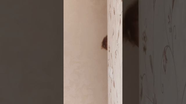 мамы на удаленке поймут)