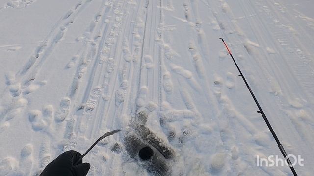 Зимняя рыбалка. Попытка поймать щуку.
