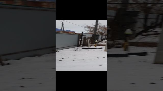 20241203_160328.mp4