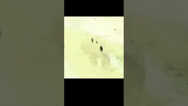 Айзен (пик ) vs Мелиодас (пик)