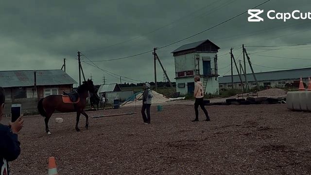 1000044246.mp4