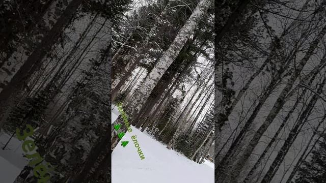 Матушка Земля...