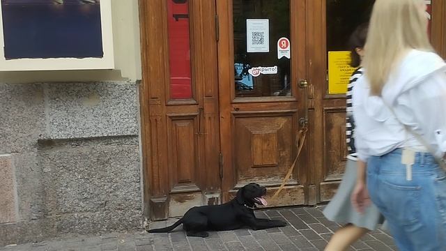 Театр Эстрады  🎭 Аркадий Райкин 🎭  Моя Жизнь Кино @ Музей Псов