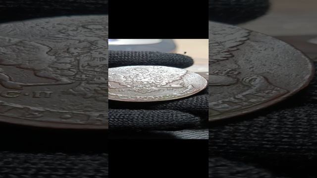 VID_20241203_121539[1]